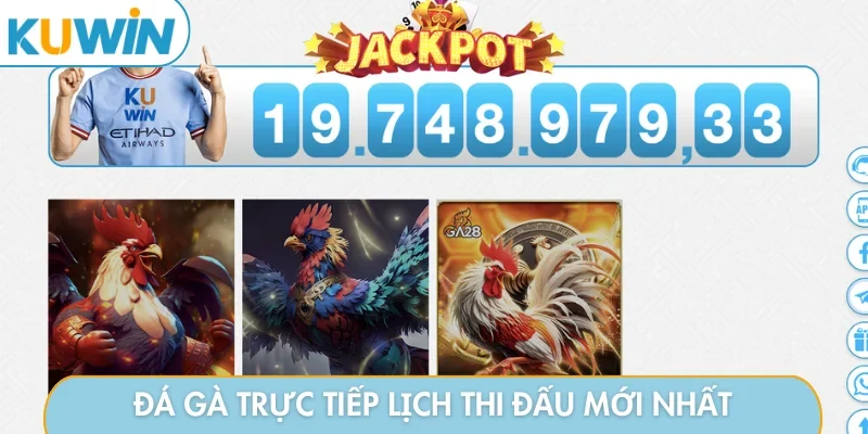 Đá gà trực tiếp lịch thi đấu mới nhất